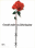 Gewalt endet wo Liebe beginnt ( La violenza finisce dove comincia l'amore), action 365, Frankf. a.M – Germania